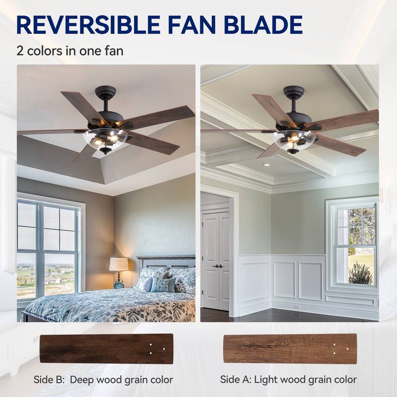 52" Reversible 5-Blade Glass Shade Ceiling Fan with Light and Remote