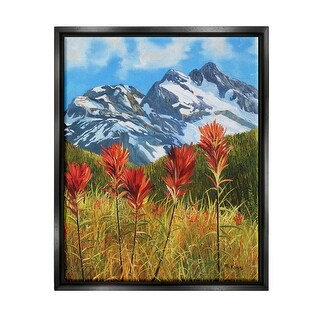 Stupell Alpine Mountain Valley Framed Floater Canvas Wall Art Design by ...