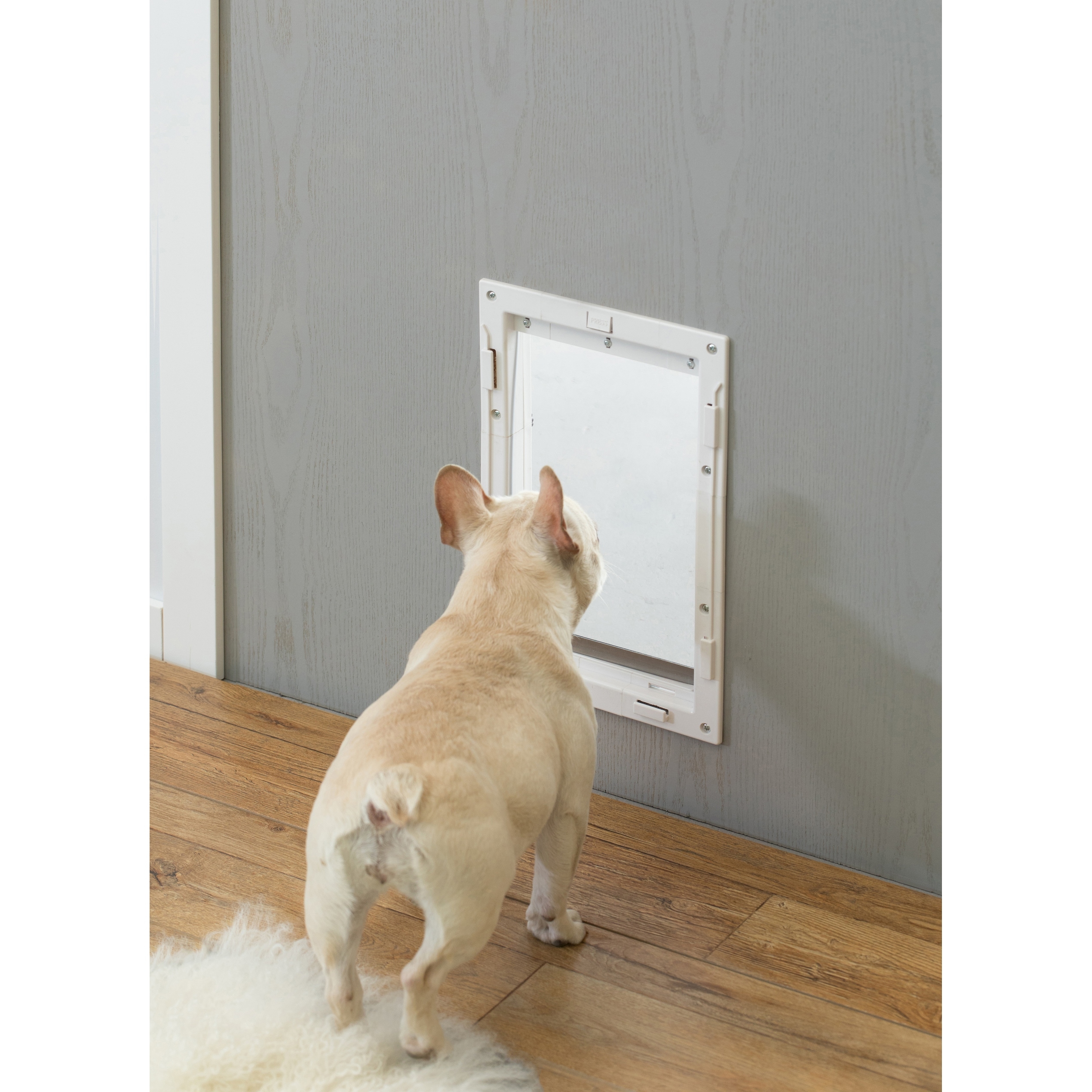 Soft flap dog door sales