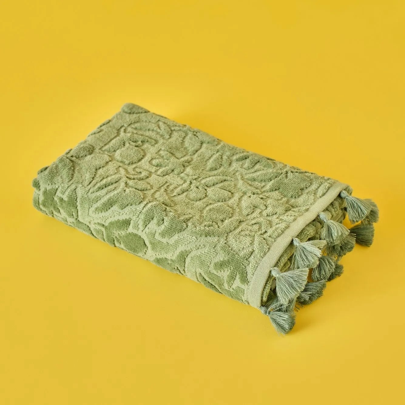 Jolia Cotton Hand Towel (Set of 2)
