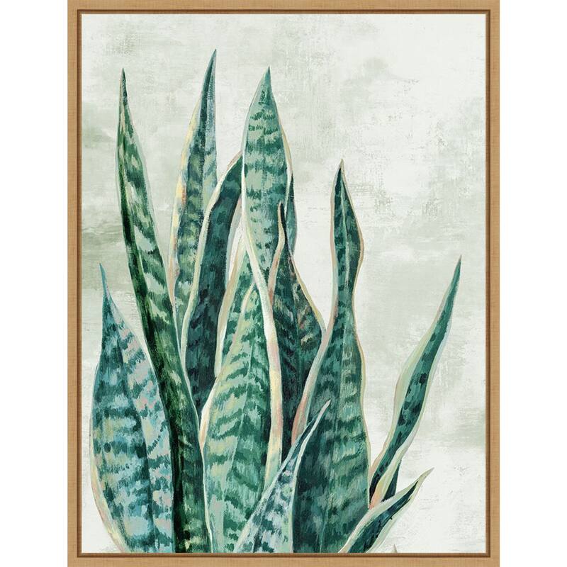 Amanti Art Reaching Snake Plant by PI Studio Framed Canvas Wall Art Print - Sylvie Maple