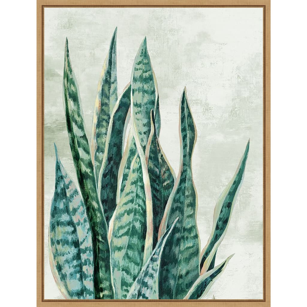 Amanti Art Reaching Snake Plant by PI Studio Framed Canvas Wall Art Print - Sylvie Maple