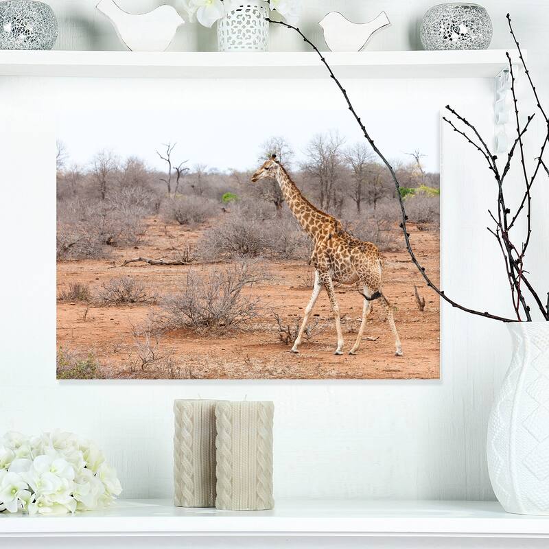 Designart "Giraffe Walking through African Forest" Modern Animal Canvas Wall Artwork Print - 20 in. wide x 12 in. high - 1 Panel