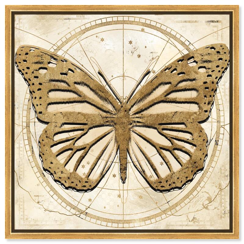 Astro Fluttering Wings Canvas by Art Remedy - Gold - 24" x 24"