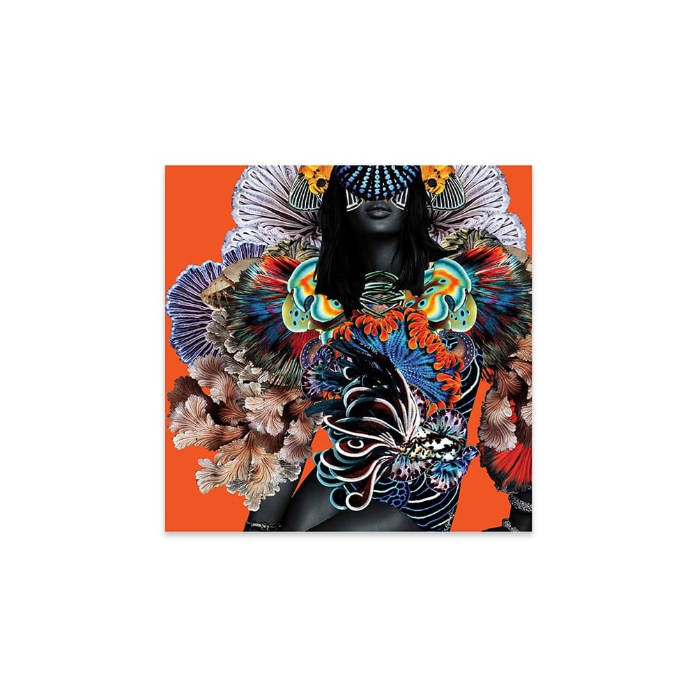 Armour / Amour Print On Acrylic Glass by Lolita Lorenzo