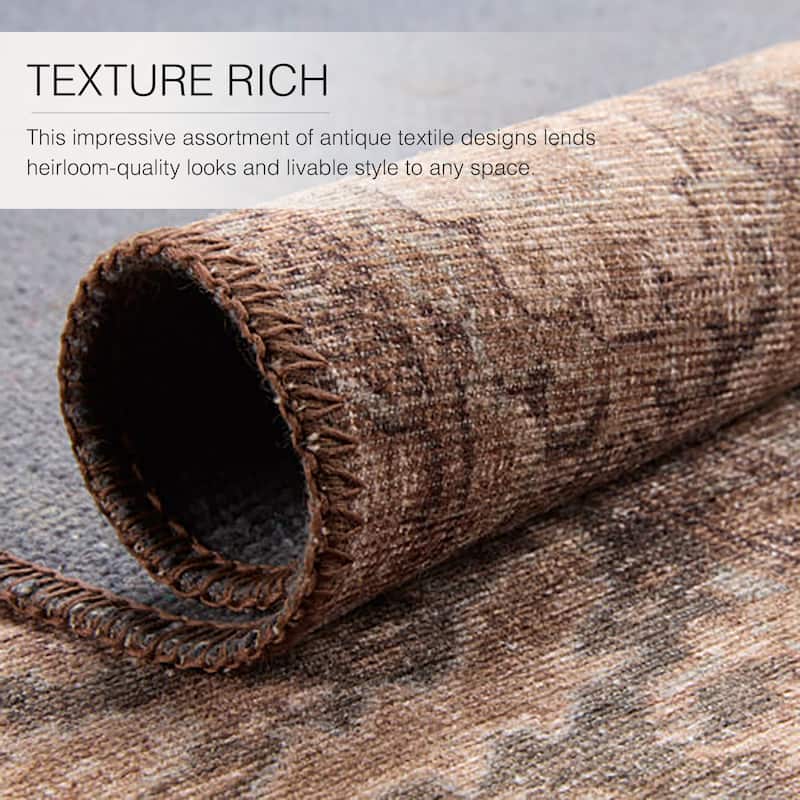 Minita Machine Washable Medallion Area Rug