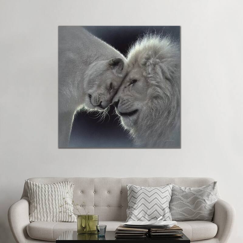 iCanvas "White Lion Love, Square" by Collin Bogle Canvas Print