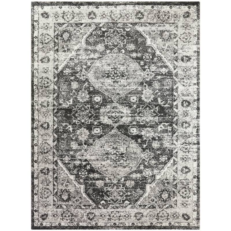 Dion Vintage Medallion Area Rug