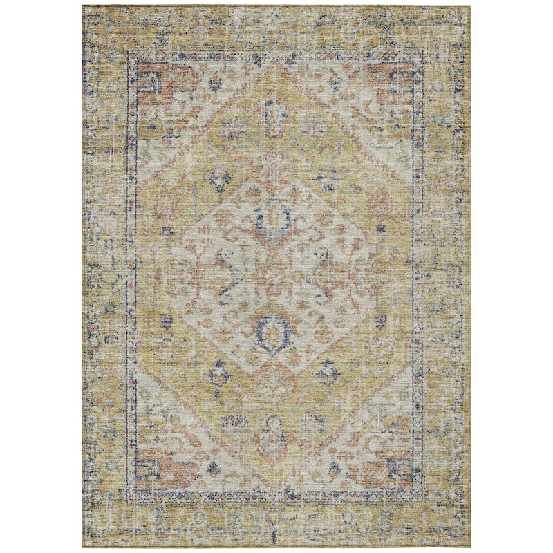 Machine Washable Indoor/ Outdoor Vintage Traditional Chantille Rug