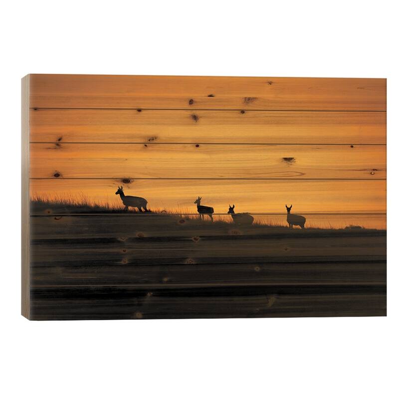 Pronghorn Sunset Print On Wood by Christopher Thomas - Multi-Color - 18x26x1.5