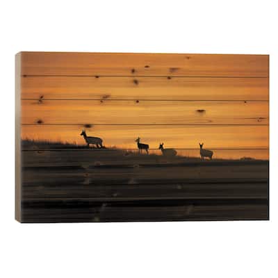 Pronghorn Sunset Print On Wood by Christopher Thomas - Multi-Color