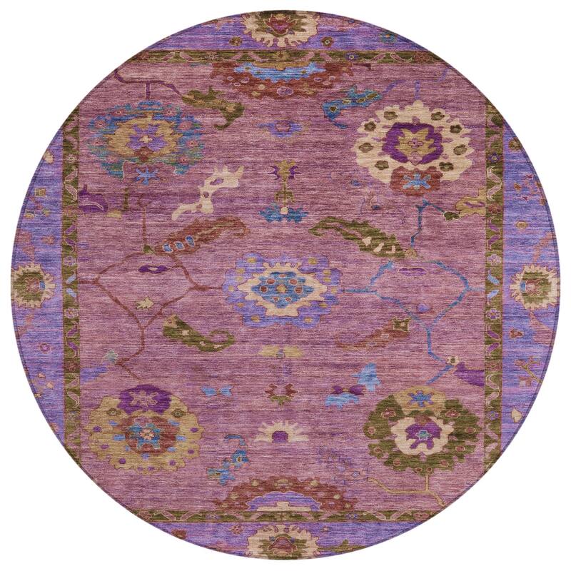 Machine Washable Indoor/ Outdoor Traditional Boho Chantille Rug