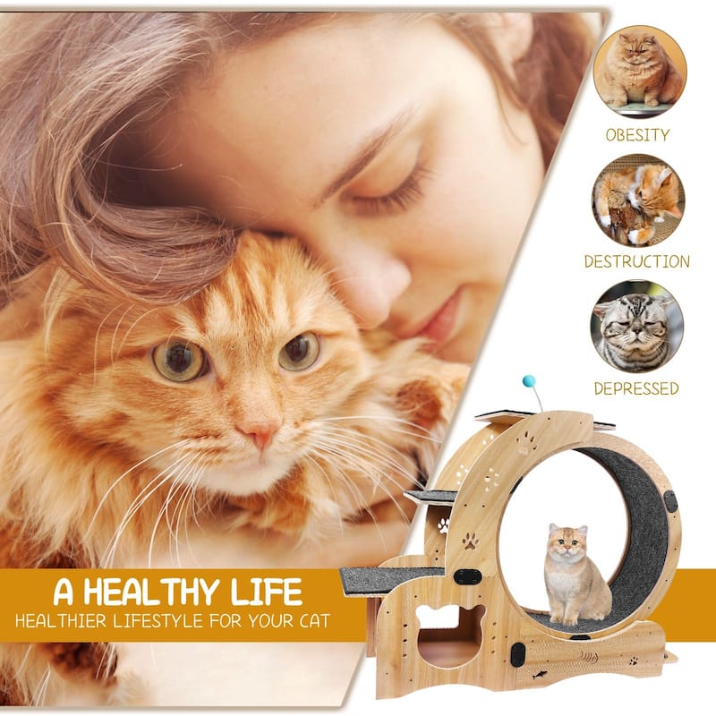 6-in-1 Upgraded Cat Wheel Exerciser for Indoor Cats
