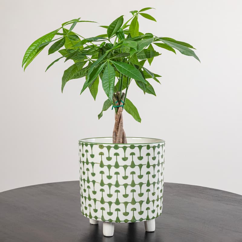 Black & White Round Stoneware Footed Planter