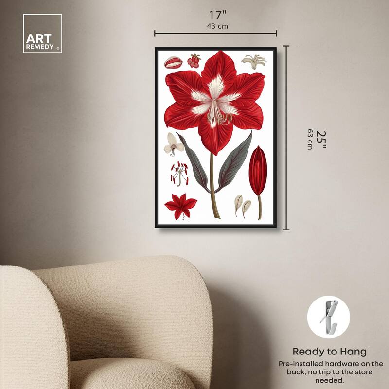 Amaryllis Anatomy Canvas by Art Remedy