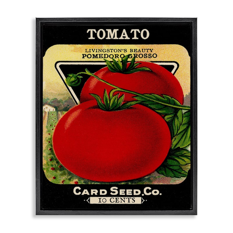 Stupell Vintage Garden Tomato Framed Floater Canvas Wall Art Design By Lil' Rue - 25 x 31 - Black
