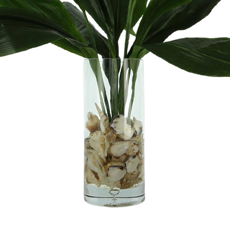 Aspidistra Leaf Arrangement in a Bubble Glass Vase with Shells - Green
