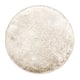 Option Ivory