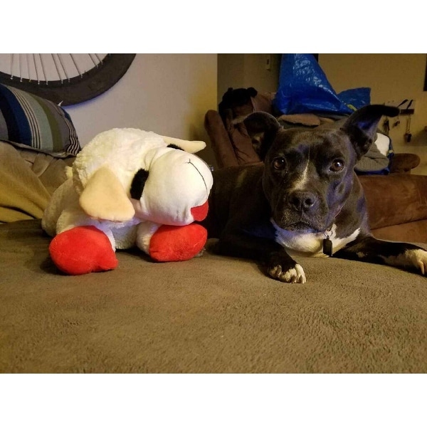 24 inch lamb chop dog toy