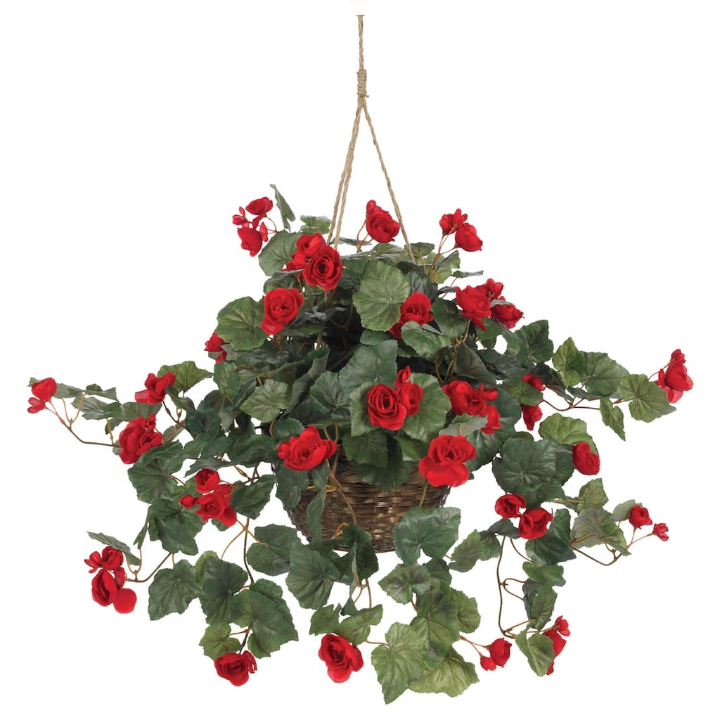 Hanging Basket for Plants - Decorative Indoor Outdoor Flower Pot - Home Garden Decor
