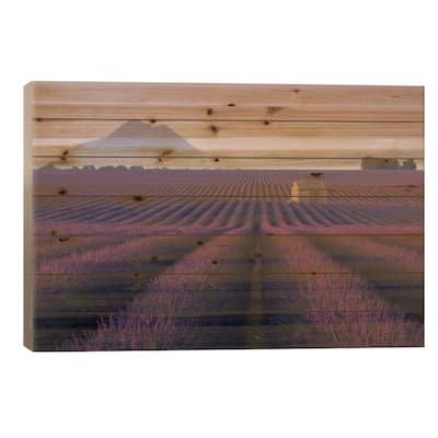 Lavender Fields Of Provence III Print On Wood by Daniel Kordan - Multi-Color