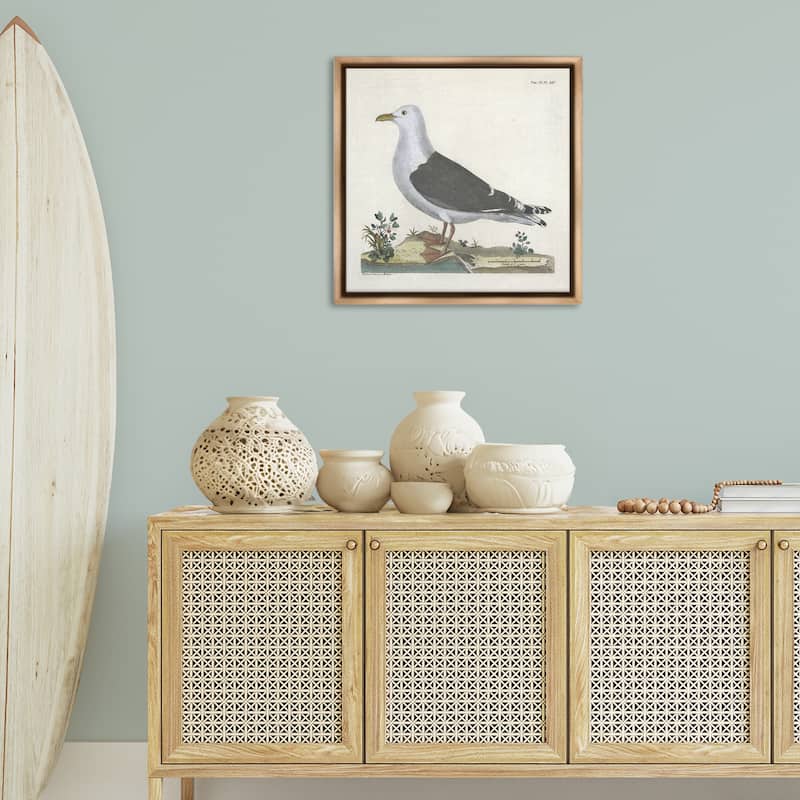 Stupell Vintage Seagull Study Diagram Framed Floater Canvas Wall Art Design By Phillipa Katz