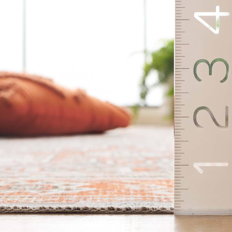 SAFAVIEH Arizona Karmija Vintage Machine Washable Rug