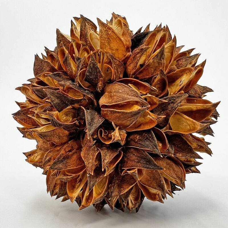 Handmade Preserved Topiary Balls, Set of 9 Decorative Floral Orbs - 4 inch