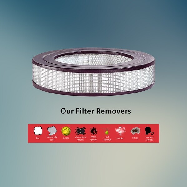 Honeywell 17005 store replacement filter