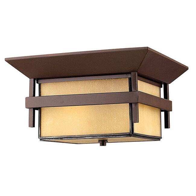 Hinkley Lighting 2 Light 12.25" Width Outdoor Flush Mount Ceiling - Anchor Bronze