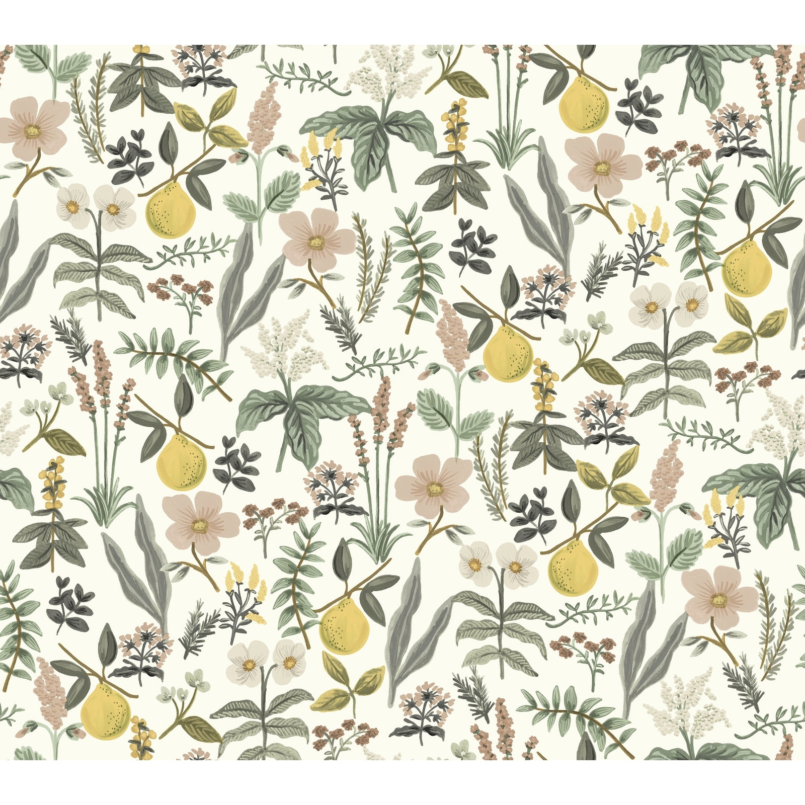 Rifle Paper Co. Herb Garden Cream Botanical Premium Peel + Stick Wallpaper