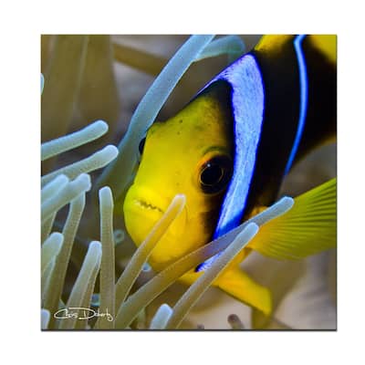 Ready2HangArt 'Underwater Rays' Wrapped Canvas Wall Art