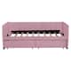 Option Pink