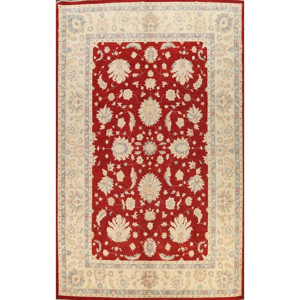 Vegetable Dye Floral Ziegler Oriental Wool Area Rug Handmade Carpet - 10'1" x 13'8"