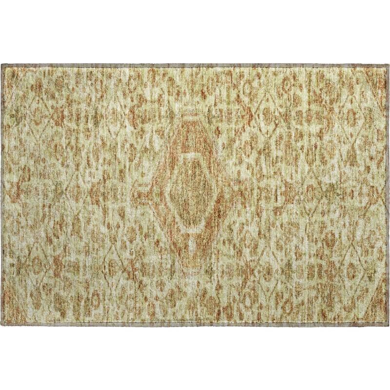 Premium Washable Super Soft Traditional Global Mayfield Rug