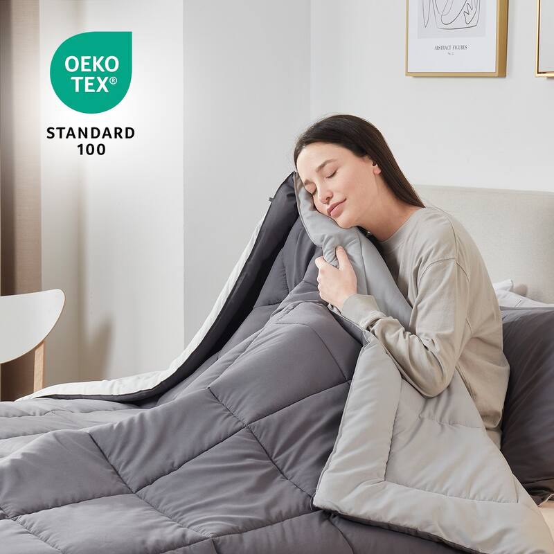 Empyrean All Season Alternative Down Lightweight Reversible Comforter Set