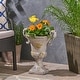 preview thumbnail 2 of 17, Delphine Roman Chalice Lightweight Concrete Planter by Christopher Knight Home gray moss