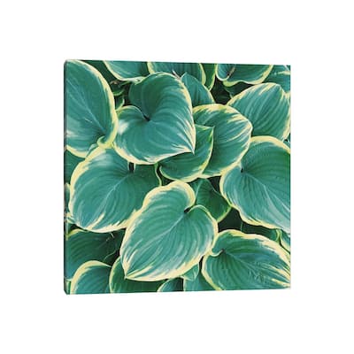 iCanvas "Some Like It Hosta" by Chelsea Victoria Canvas Print