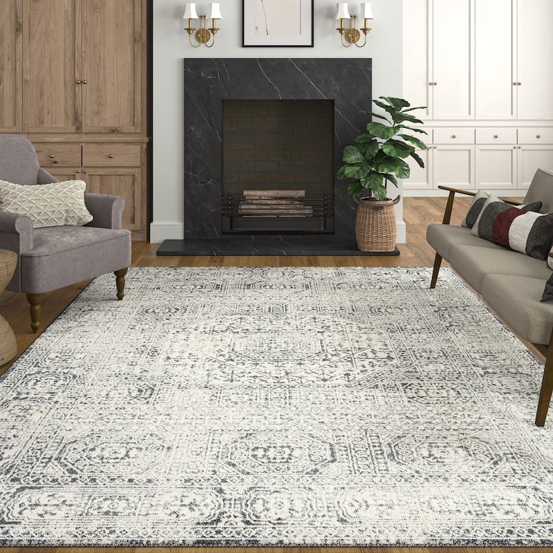 Tucson Farmhouse Oriental Indoor Area Rug