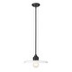 preview thumbnail 1 of 6, Paloma 1 Light Pendant - Matte Black