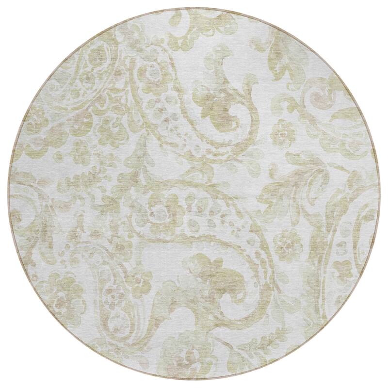 Machine Washable Indoor/ Outdoor Chantille Traditional Scroll Rug