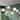 Modern Brass 6-Light Gold LED Integrated Wheel Chandeliers for Living Room - 26" D x 9" H