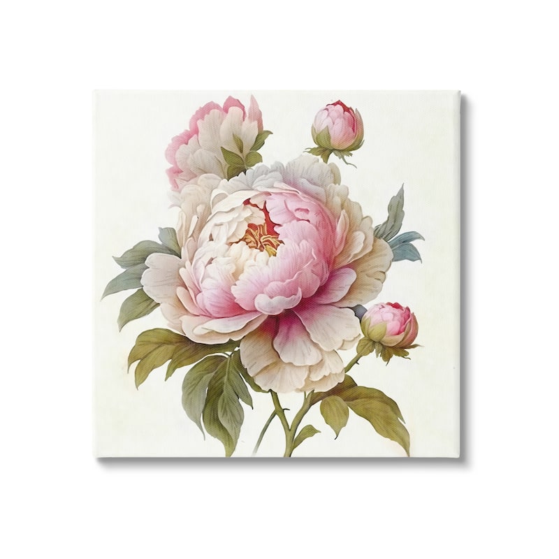 Stupell Detailed Pink Peony Flower Buds Canvas Wall Art by Ziwei Li - 24 x 24