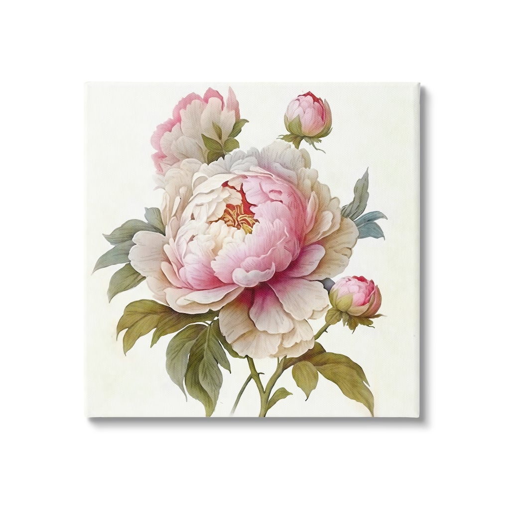 Stupell Detailed Pink Peony Flower Buds Canvas Wall Art by Ziwei Li