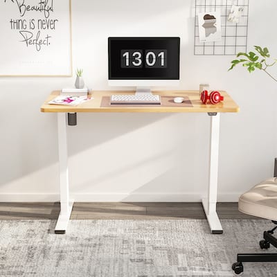 FlexiSpot 48"x30" Electric Home Office Height Adjustable Standing Desk Computer Desk White Frame Stand Up Desk