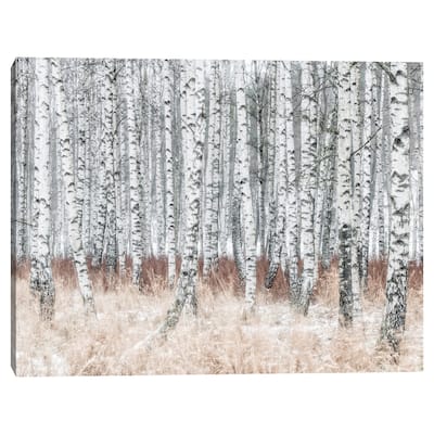 The Silver Forest by Mikael Svensson Canvas Art Print