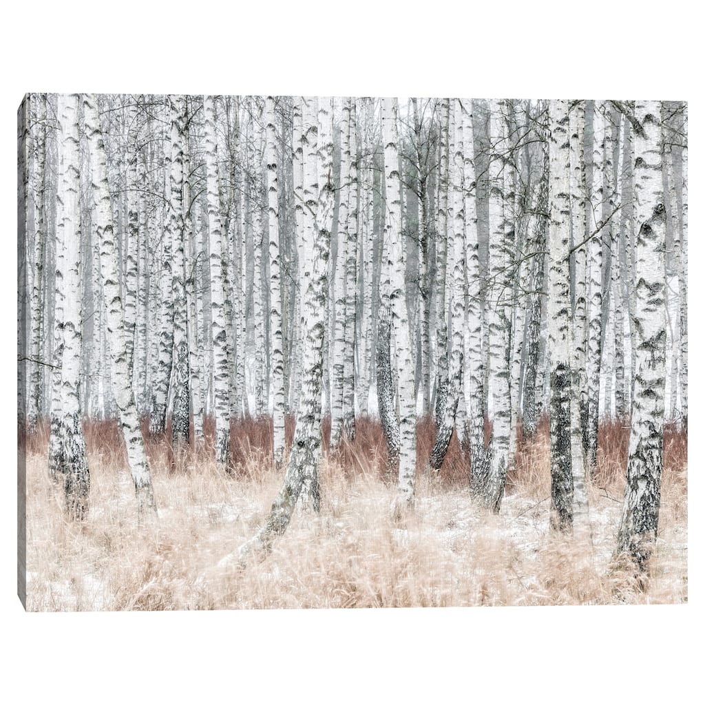 The Silver Forest by Mikael Svensson Canvas Art Print