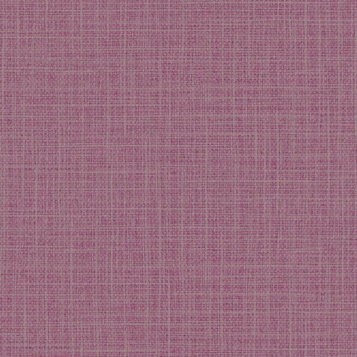 Option Fucshia