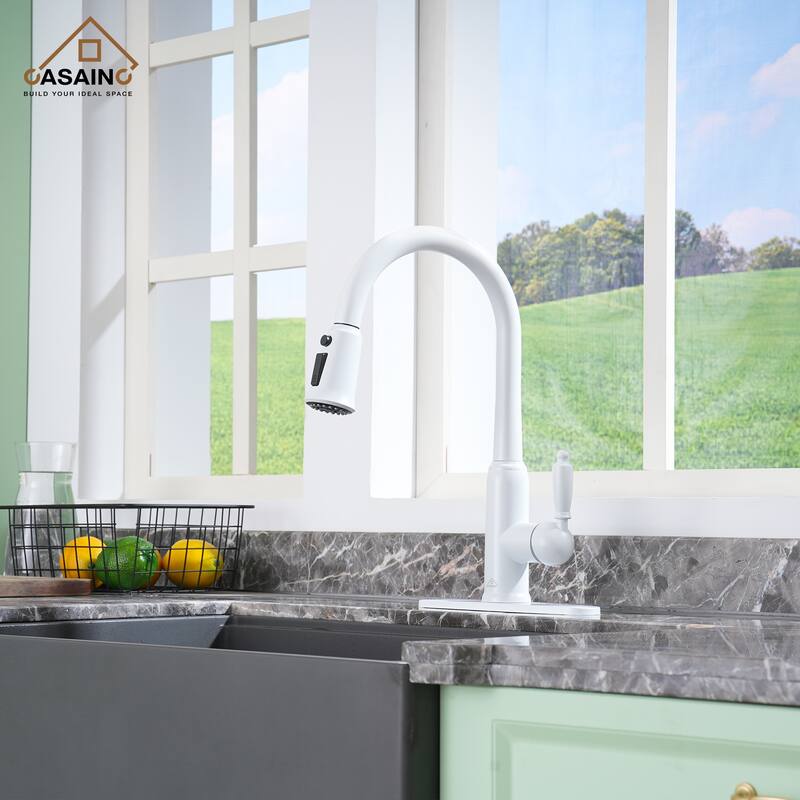 Single Handle Pull-Down Sprayer Kitchen Faucet