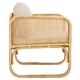 preview thumbnail 10 of 22, SAFAVIEH Alybeth Boho Coastal Solid Wood Accent Chair with Cushion - 26" W x 26" D x 26" H